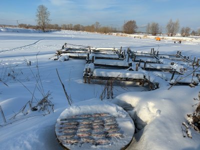 Озеро глухое 14.12.2025