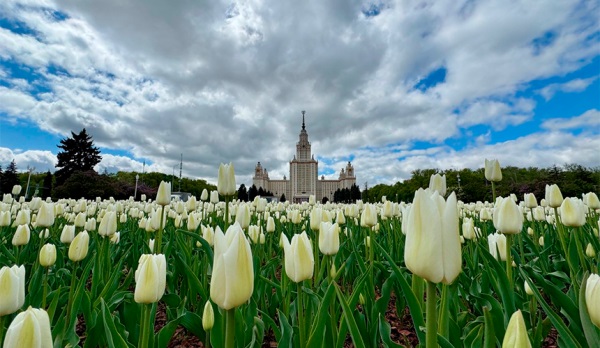 Москва стала привлекательнее Нью-Йорка, Парижа и Японии