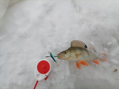 20.12.2025 г. Колываны