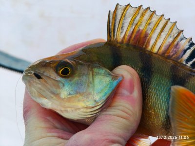 На малой речке.