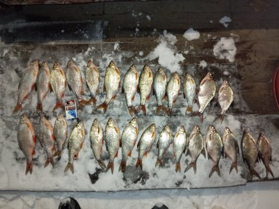 Бердский залив