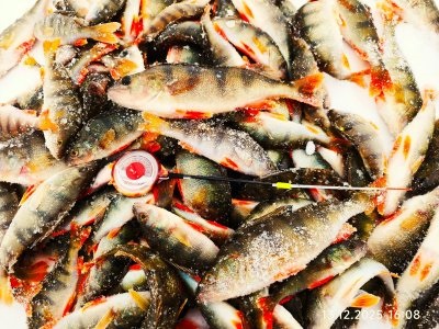 На малой речке.