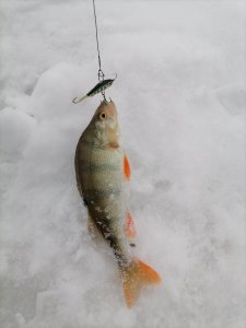 20.12.2025 г. Колываны