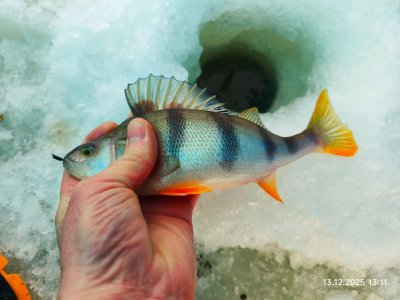 На малой речке.