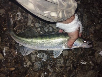 Не сходя с места!..