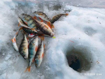 На малой речке снова.