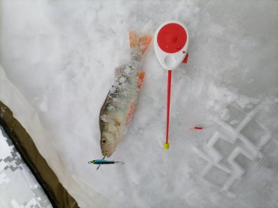 20.12.2025 г. Колываны