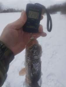 Загар, Загар, Удар!..