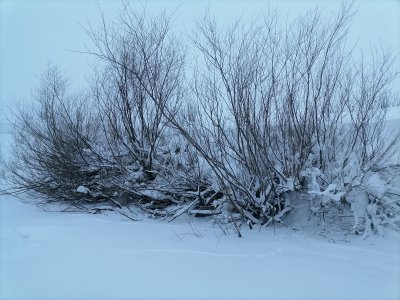 20.12.2025 г. Колываны