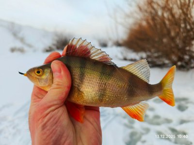 На малой речке.