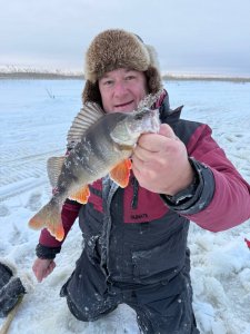 Открытие в Томской области