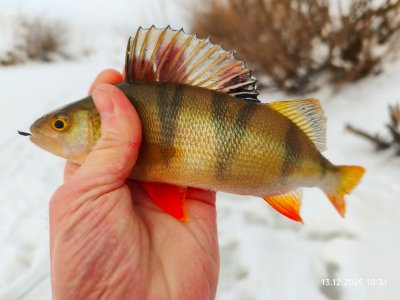 На малой речке.