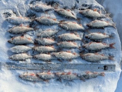 Озеро глухое 14.12.2025