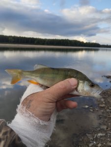 Не сходя с места!..