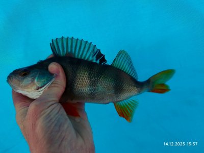 На малой речке снова.