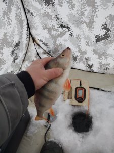 ОВХ, конечка тройки.