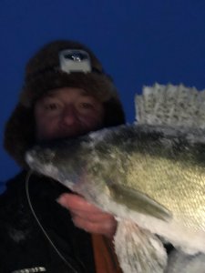 Судак на Томи!!