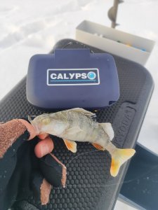 Морозные будни