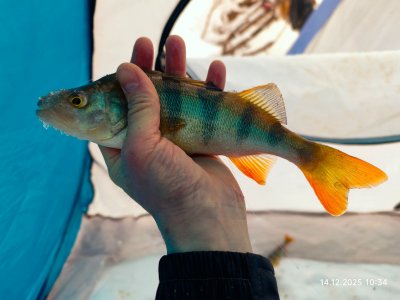 На малой речке снова.