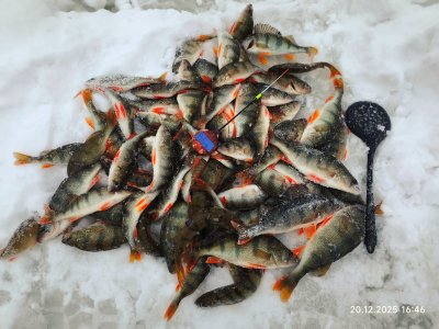 С безмотылкой на речке.