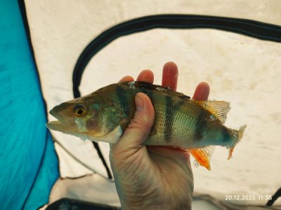 С безмотылкой на речке.
