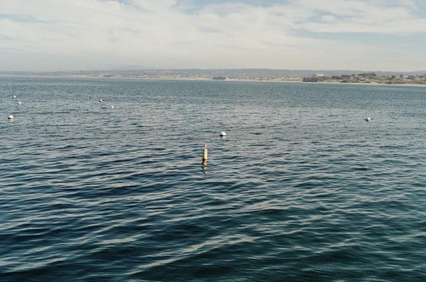 Примеры фотографий на новую пленку Kodak Kodacolor