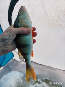 На малой речке снова.