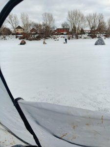 В Затоне плотва