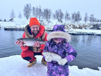 Изумрудное обновилось