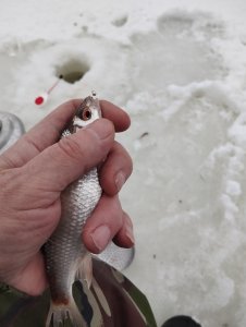 Загар, Загар, Удар!..