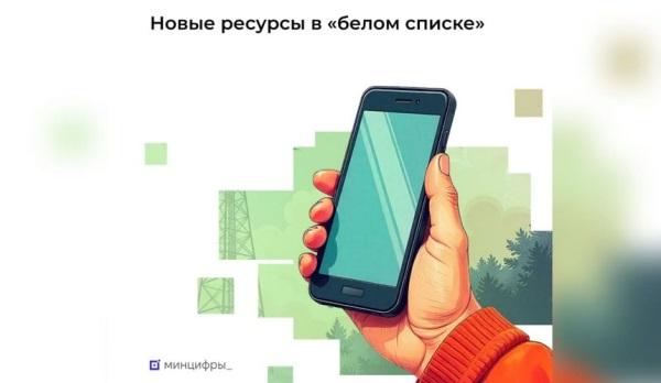 Сайты &laquo;Аэрофлота&raquo; и &laquo;Победы&raquo; включили в белый список