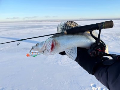 За судаком в морозный выходной. ОВХ, конечка тройки.