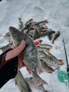 20.12.2025 г. Колываны