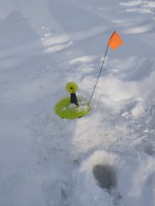 Вьюна или "Звёздный"час Свояка!..