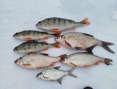 ОВХ, конечка тройки.