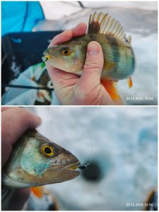 С безмотылкой на речке.