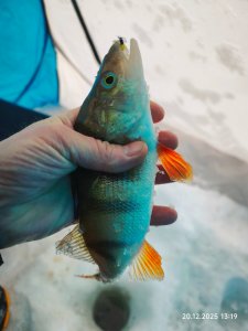 С безмотылкой на речке.