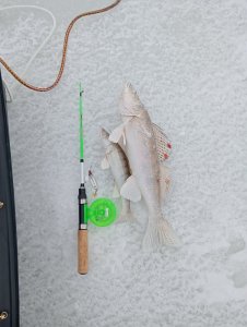 Подводя итоги 4х дней разминки на ОВХ после 40лет без подледной рыбалки