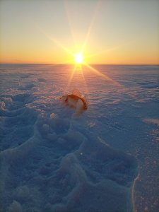 Прошедший день затих и опустел, готовясь к плену, молчаливой ночи...