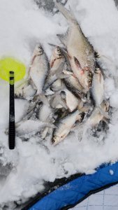 Затон Ракитная 17.12.25, три дня поисков