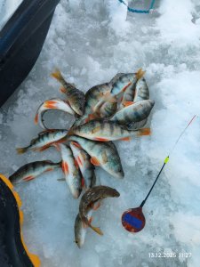 На малой речке.