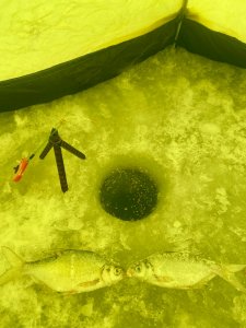 Запоздалое открытие.