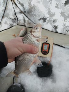 ОВХ, конечка тройки.