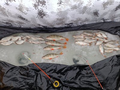 Снежный Инструментальный!