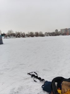 Скучная плотва. Затон.