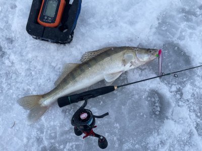За судаком в морозный выходной. ОВХ, конечка тройки.
