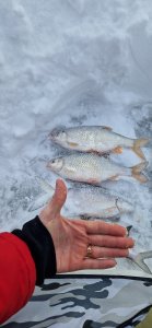 24 декабря, ,,Ремикс''.