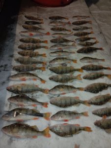 Матросики порадовали от души.