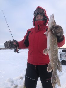 Открытие в Томской области