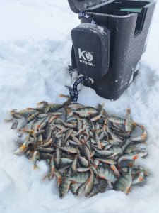 Морозные будни